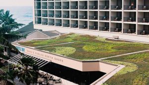 Green roof at Turtle Bay on Oahu's north shore