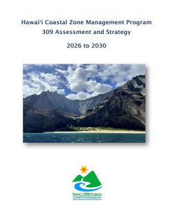 Front page of the 309 Assessment and Strategy